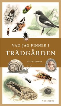 Vad jag finner i tr�dg�rden (inbunden)