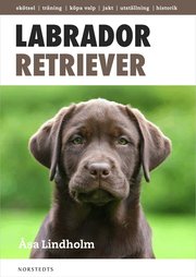 Labrador retriever : det mesta du beh�ver veta om din hund (inbunden)