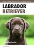 Labrador retriever : det mesta du beh�ver veta om din hund