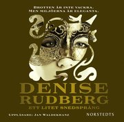 Ett litet snedspr�ng (ljudbok)