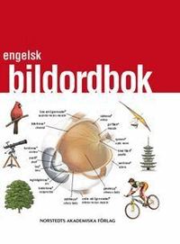 Engelsk bildordbok : svensk/engelsk (h�ftad)
