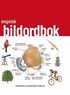 Engelsk bildordbok : svensk/engelsk