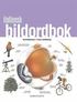 Italiensk bildordbok
