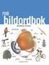 Rysk bildordbok
