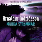 M�rka str�mmar (ljudbok)