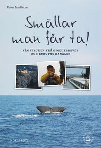 Sm�llar man f�r ta!  brev fr�n en liten segelb�t (inbunden)