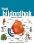 Fransk bildordbok