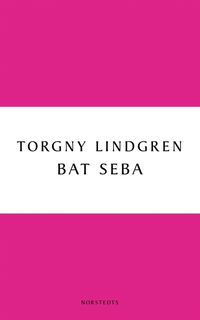 Bat Seba (e-bok)