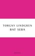 Bat Seba