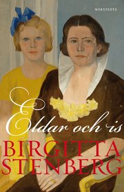 Eldar och is (e-bok)