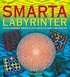 Smarta labyrinter : �ver hundra smarta och invecklade labyrinter