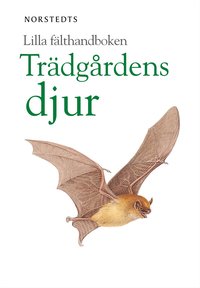 Tr�dg�rdens djur
