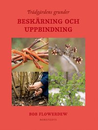 Tr�dg�rdens grunder : besk�rning och uppbindning (kartonnage)