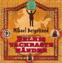 Delhis vackraste h�nder (ljudbok)