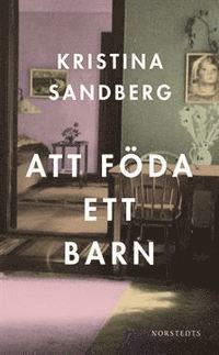 Att f�da ett barn (pocket)