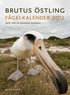 F�gelkalender 2012