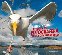 Konsten att fotografera f�glar och andra djur (inbunden)
