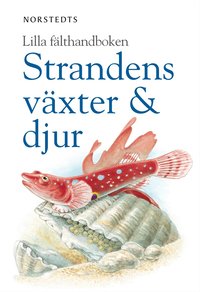 Strandens v�xter & djur (h�ftad)
