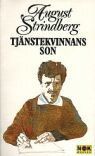 Tjänstekvinnans son (e-bok)