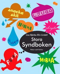 Stora Syndboken (inbunden)