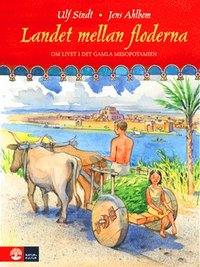 Landet mellan floderna : livet i det gamla Mesopotamien (inbunden)