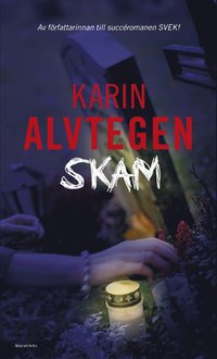 Skam (e-bok)