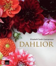 Dahlior (inbunden)