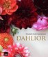 Dahlior