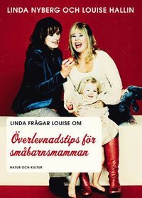 �verlevnadstips f�r sm�barnsmamman (pocket)