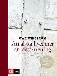 Att �lska livet mer �n dess mening : betraktelser och �vningar (inbunden)