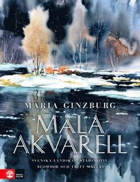 M�la akvarell : Svenska landskap, stadsmotiv, blommor och fritt m� (inbunden)