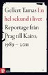 En hel sekund i livet : reportage fr�n Prag till Kairo, 1989-2011