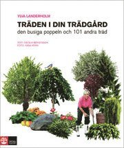 Tr�den i din tr�dg�rd : den busiga poppeln och 101 andra tr�d (inbunden)