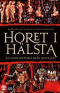 Horet i Hlsta : en sann historia frn 1600-talet