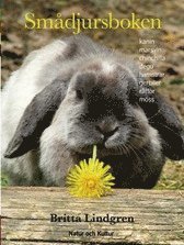 Sm�djursboken : [kanin, marsvin, chinchilla, degu, hamstrar, gerbiler, r�ttor, m�ss] (inbunden)