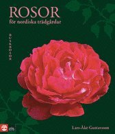 Rosor f�r nordiska tr�dg�rdar : buskrosor (inbunden)