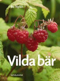 Vilda b�r
