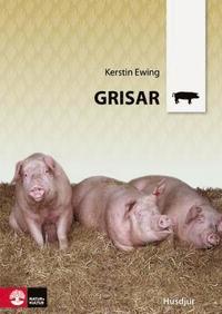 Grisar (h�ftad)