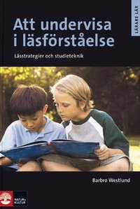Att undervisa i l�sf�rst�else, Andra upplagan (h�ftad)