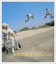 Samh�lle.nu : samh�llskunskap f�r gymnasiet. B, C (h�ftad)