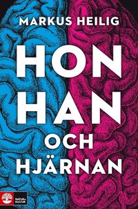 Hon, han och hjrnan