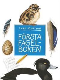 F�rsta f�gelboken (kartonnage)