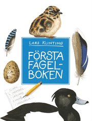 F�rsta f�gelboken (kartonnage)