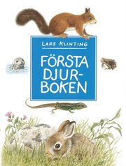 F�rsta djurboken - d�ggdjur, groddjur, kr�ldjur (kartonnage)