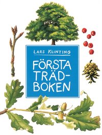 F�rsta tr�dboken (kartonnage)
