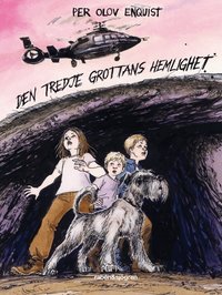Den tredje grottans hemlighet (pocket)