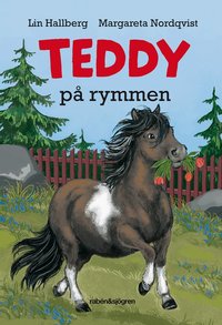 Teddy p� rymmen (kartonnage)