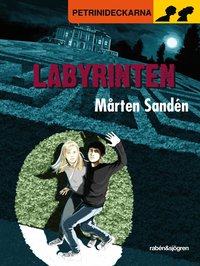 Labyrinten (kartonnage)