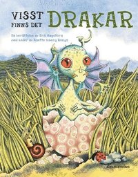 Visst finns det drakar! (inbunden)