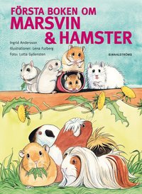 F�rsta boken om marsvin & hamster (inbunden)